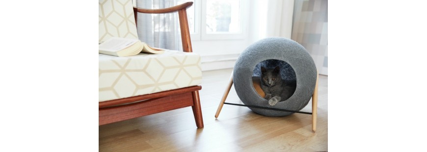 Accesorios para gatos de todo tipo